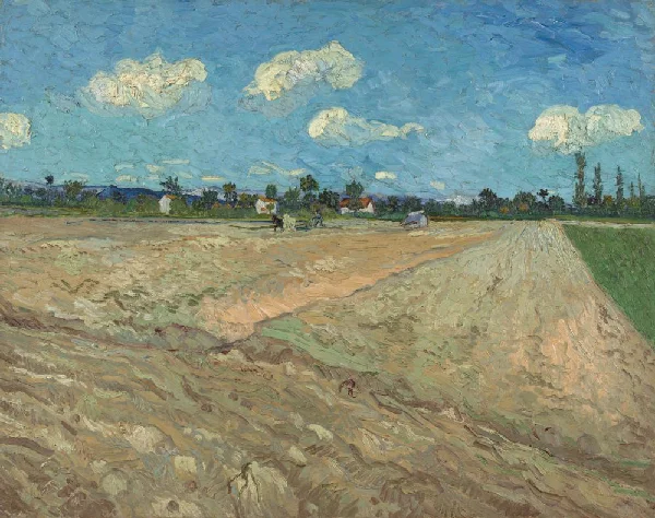 Vincent van Gogh, Ploughed Fields ('The Furrows'), 1888