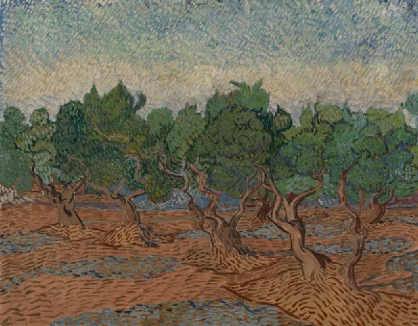 Vincent van Gogh, Olive Grove, 1889
