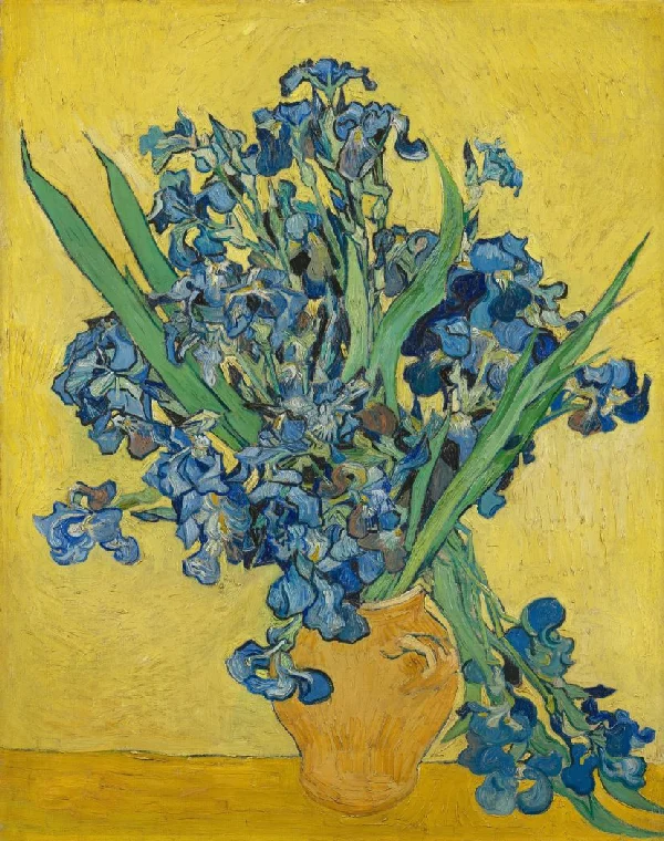 Vincent van Gogh, Irises, 1890