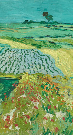 Vincent van Gogh, Velden bij Auvers-sur-Oise, 1890, Belvedere Museum, Wenen 